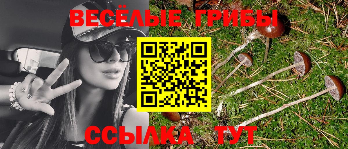 Галлюциногенные грибы прущие грибы Кохма