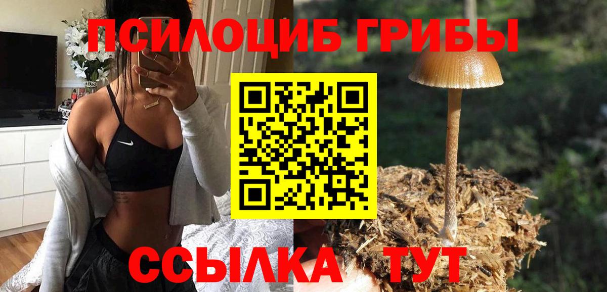Галлюциногенные грибы мухоморы  Вход с VPN  Кохма 